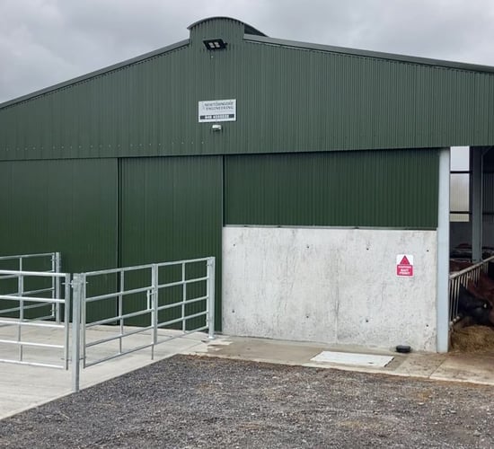 Back In Focus: Leaving no stone unturned in this new suckler unit in Roscommon