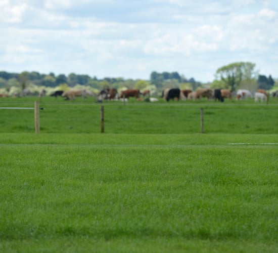 Almost 80 Teagasc staff earned over €100,000 last year