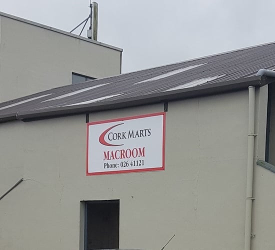 'Growing customer base for Scotch lambs' at Macroom