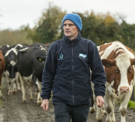 Improving work-life balance and animal health in Tipperary