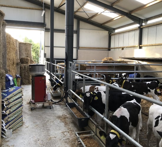 Choosing a milk replacer among increasing prices