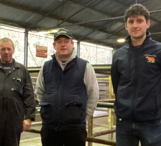 Cavan Mart reopens for 2022 under new management
