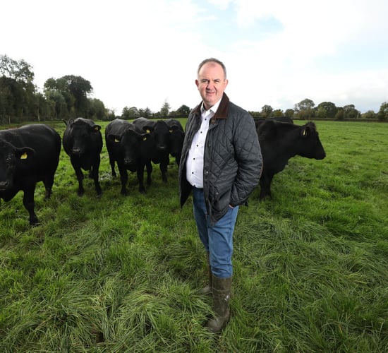Certified Irish Angus announces 30c/kg beef bonus