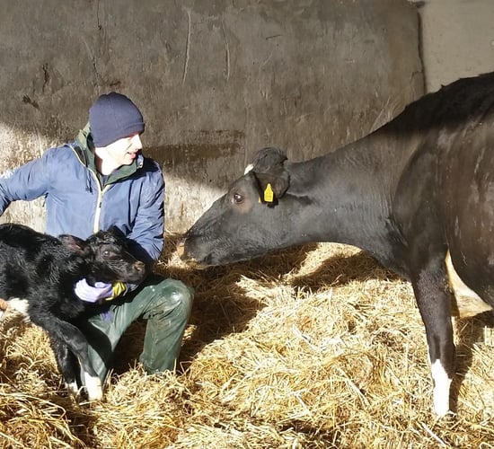 'Farming was his first love' - charity livestock sale in memory of Cork farmer