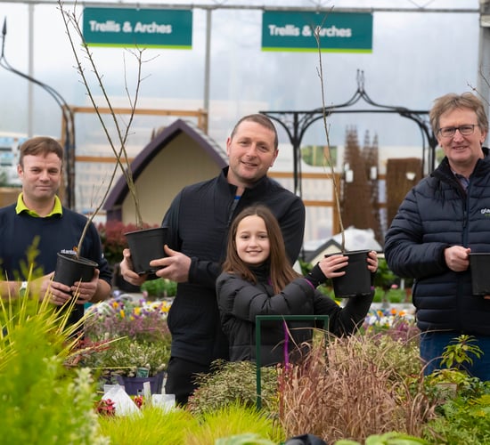 Glanbia plants 100,000 trees one year ahead of schedule