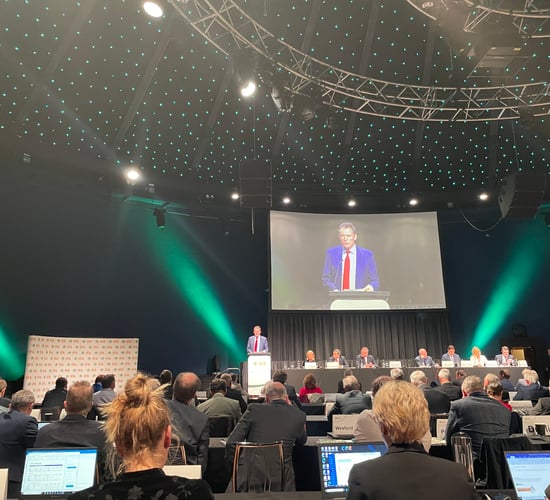 Committees to be set up to implement Food Vision for dairy, beef and sheep