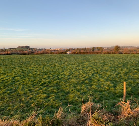 'Exceptional' portion of Golden Vale land for sale