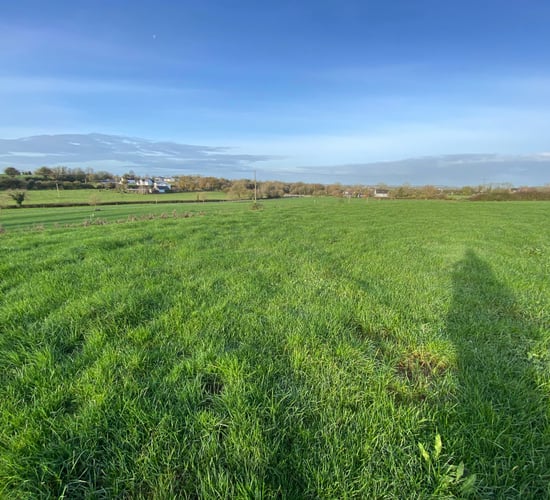 '148ac top class dairy farm' for sale in Co. Limerick