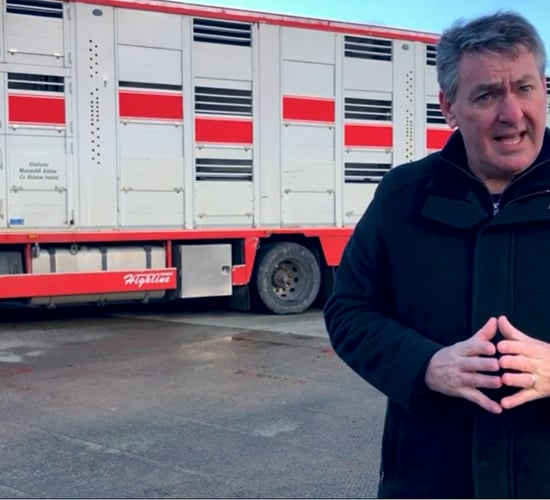 Video: MEP outlines his proposals for new EU animal transport rules