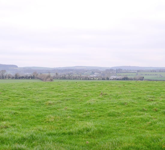 Sinn Féin would leave farmers 'neglected and vulnerable' - TD