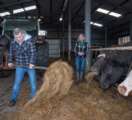Mayo social farm visit 'extra special' says Hackett