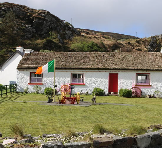 Remote working to 'completely revive' rural Ireland - MEP