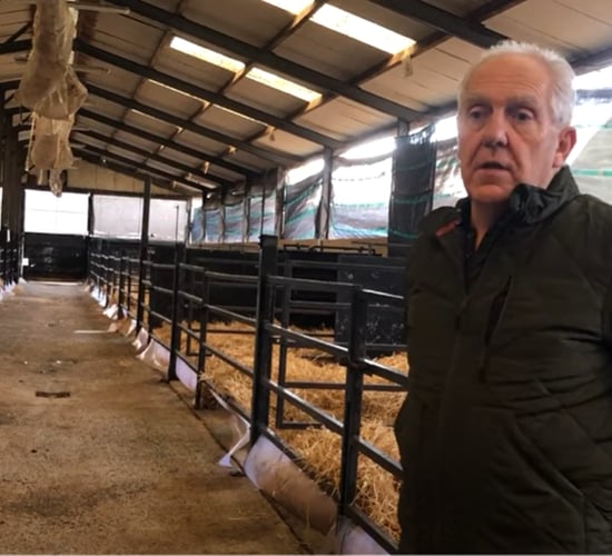 Video: Wicklow Calf Company boss outlines challenges facing calf trade