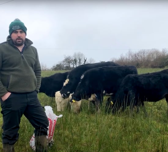 Beef Focus: Leitrim Macra chair's Drumkeerin suckler farm