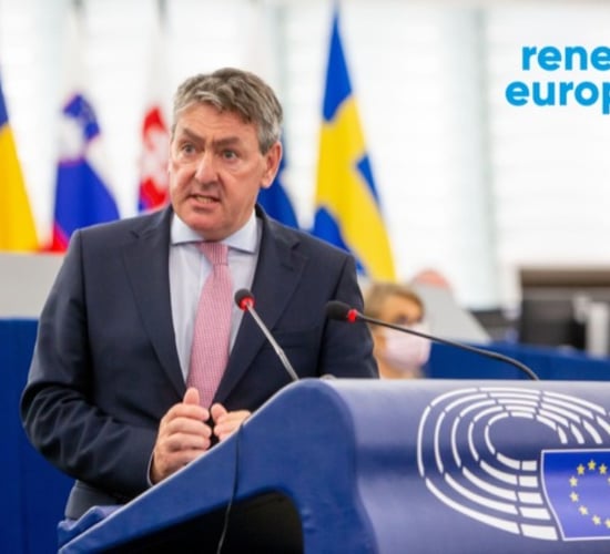 Irish MEPs can play 'kingmaker role' in terms of animal transport