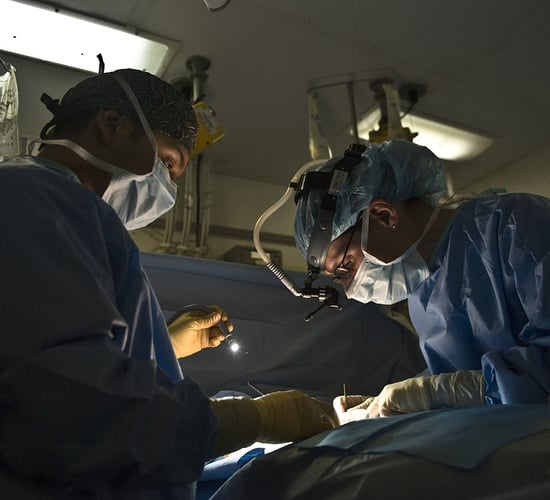 Man who had first pig heart transplant dies