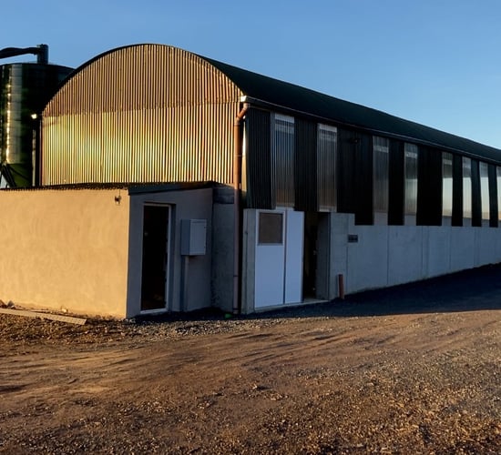 Buildings Focus: Converting to dairy with the aid of a hayshed and 5-bay slatted shed