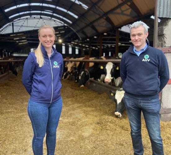 Achieving one extra lactation per cow is doable