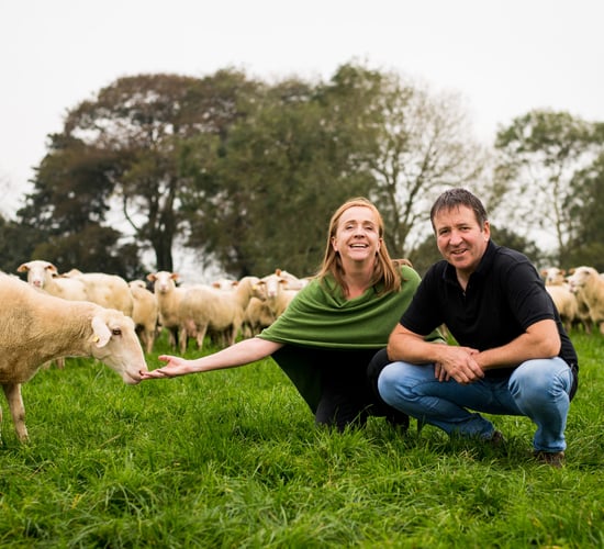 Mayo business to give away free sheep's milk in bid to grow