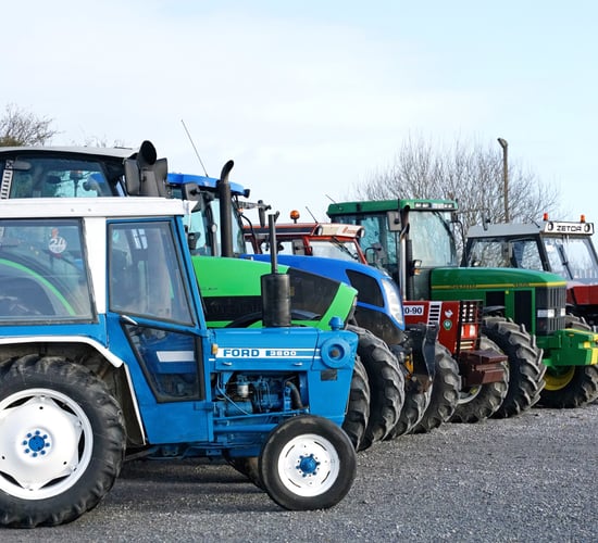Pics: Power and variety at upcoming Hennessy auction
