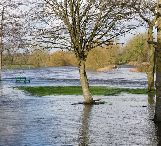 Storm Claudia: Farmers advised to move livestock to higher ground