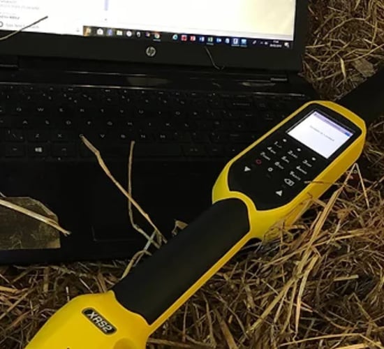 Livestock management company runs competition to help with EID tagging