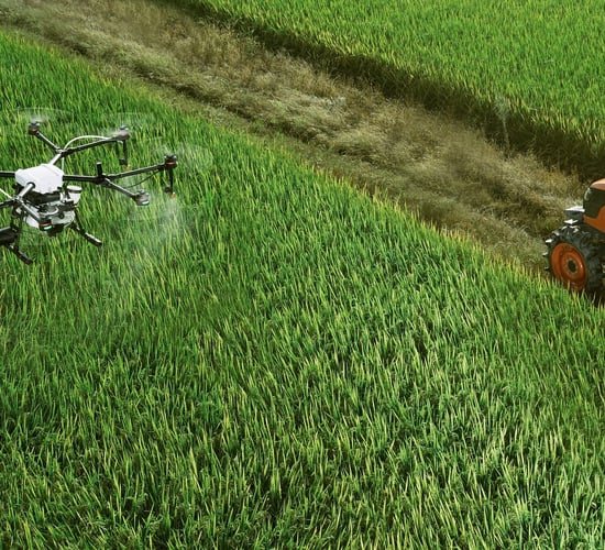 Drone technology to predict animal health and crop disease