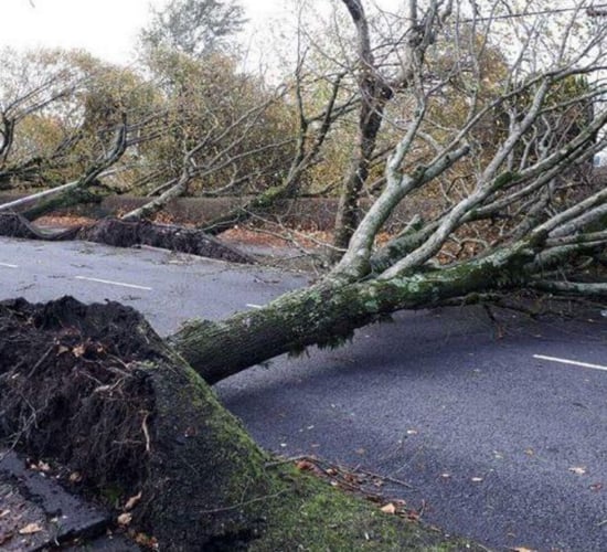 Irish Rural Link calls for enhanced extreme weather supports