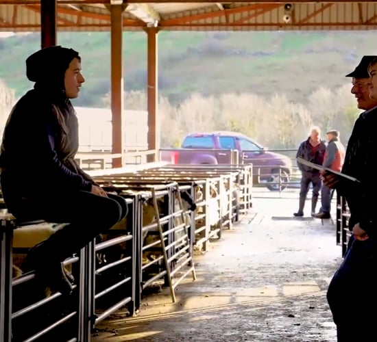 Macra and CEJA welcome EU parliament vote on young farmers