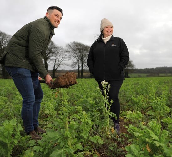 Guinness to cut carbon footprint of a pint with pilot farm project