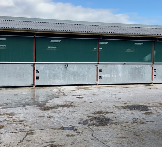 Buildings Focus: Mono-pitched calf shed for 80 calves in Co. Fermanagh