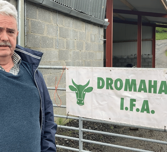 IFA Sheep chair considers running in local elections