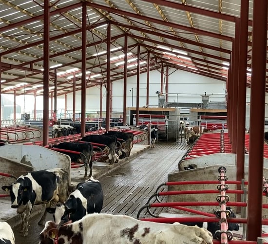 Buildings Focus: 2 robots and 156 cubicles under one roof in Limerick