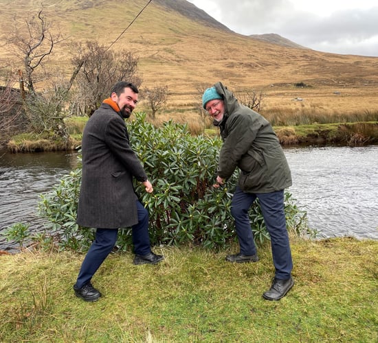 Rhododendron Control Project launched in Mayo