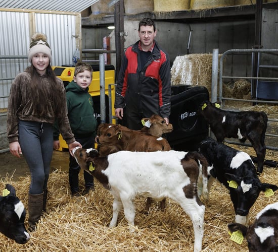 Taking the work out of calf rearing in Co. Cork