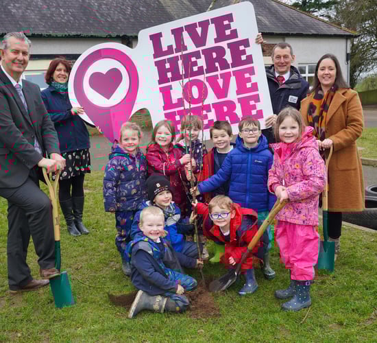 NI: £2m scheme to improve health of bees and pollinators