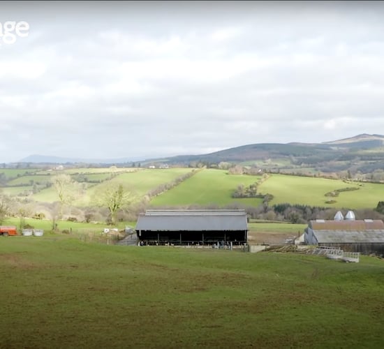 See inside the ABP demo beef farm in Co. Carlow