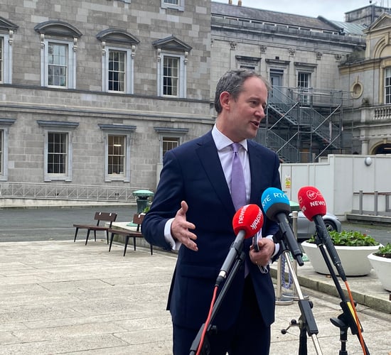 Dáil debate over afforestation licences and a 'lack of ambition'