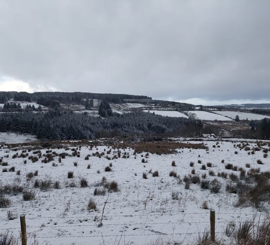 Weather forecast: Cold week ahead with widespread frost and ice