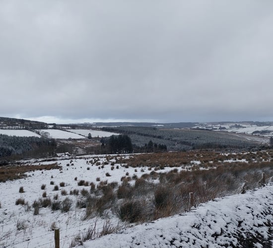 Met Éireann issues snow and ice warnings for some counties