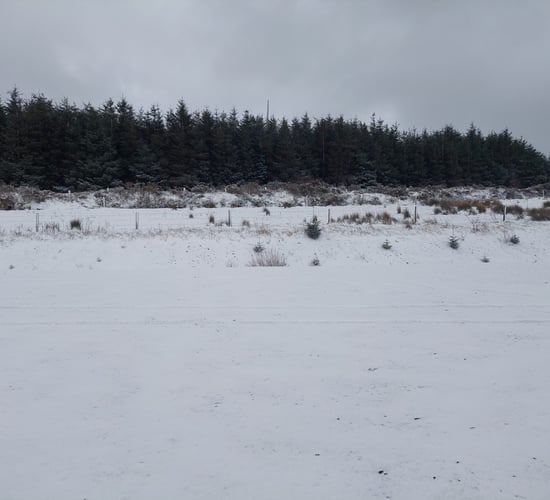 Met Éireann issues snow and ice warning for Munster