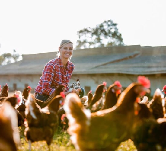 EIP projects on animal health and gender balance sought