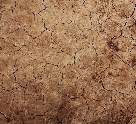 IPCC: Production losses projected for most European areas