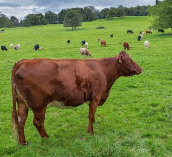€150,000 to upskill ACA advisors in organic farming