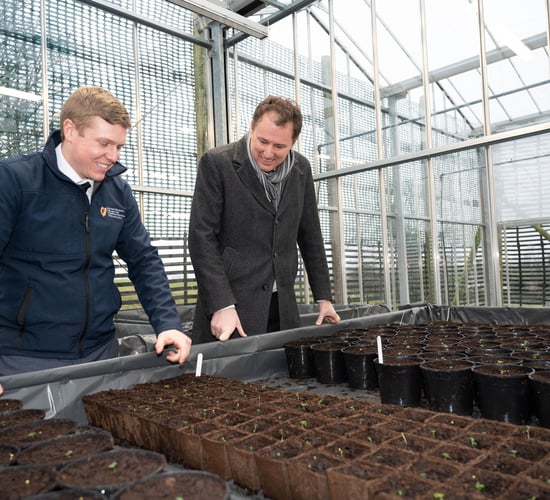 'Further expansion of the seed potato area must be industry-led' - minister