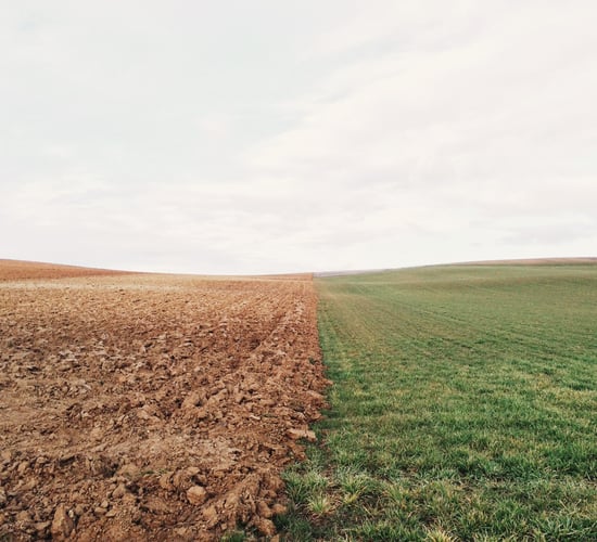 Investment in soils could not only benefit the environment - research