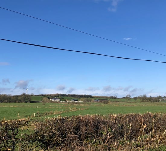 NI National Hedgerow Week to take place next week