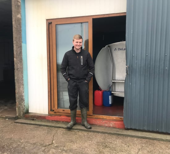 Dairy throwback: Farming, AI and YouTube in the Kingdom