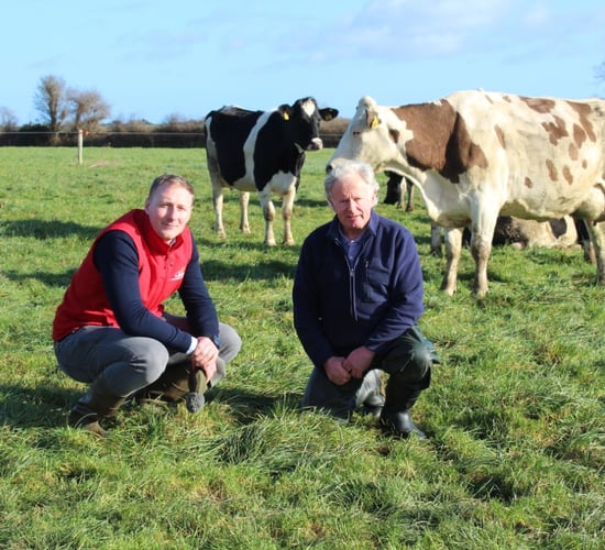 Maximising milk solids through protein efficiency