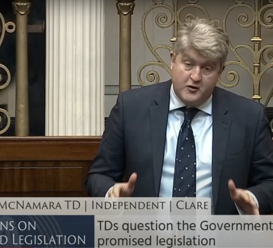 'Irish farmers face a dilemma' due to input cost crisis - TD